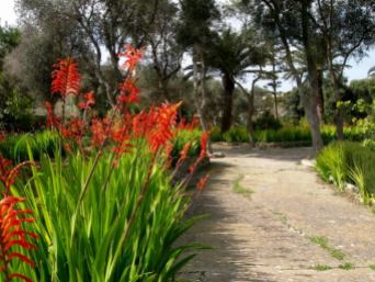 Gozo park